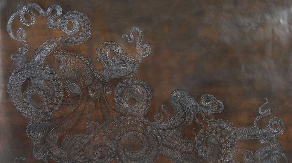 octopus
